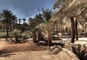 المسح الليزري ثلاثي الأبعاد 14