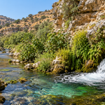 صورة توضيحية لنبع يخرج من صخور كلسية ويغذي مجرى مائيًا