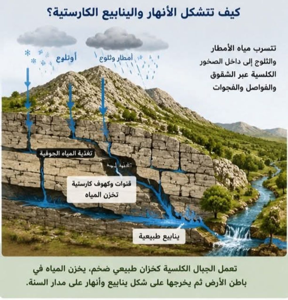 مخطط توضيحي لتسرب الأمطار عبر الصخور الكلسية وتغذية ينابيع كارستية